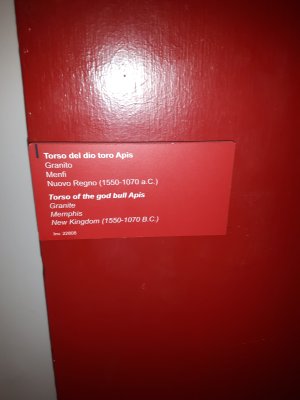 178-IMG_20160723_131742 1.jpg.medium.jpeg