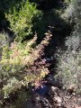 073-IMG_20160726_103453.jpg.small.jpeg