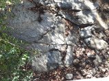 074-IMG_20160726_103512.jpg.small.jpeg