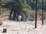 082-IMG_20160726_110744.jpg.small.jpeg